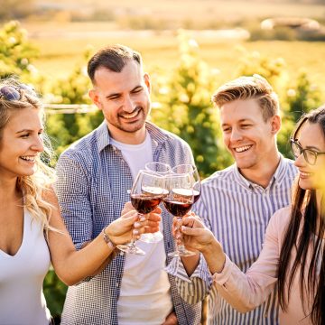 Best wine harvest regions to visit in Europe this autumn.